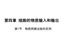 4.1物質(zhì)跨膜運(yùn)輸?shù)膶?shí)例