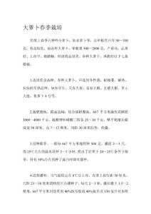 大蘿卜春季栽培