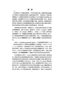 白細(xì)胞起始黏附過程PSGL1介導(dǎo)的信號(hào)的研究