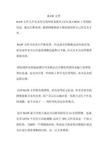 RAW文件