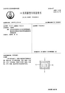 CN97223244.3-牛黄乌蛇片