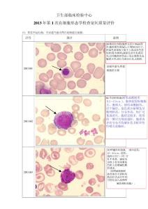2013年2013第1次血细胞形态学检查室间质量评价