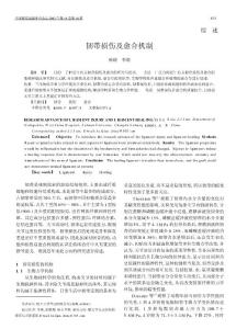 韧带损伤及愈合机制