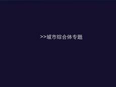 城市综合体专题研究_40PPT