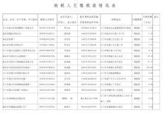 纳税人欠缴税款情况表
