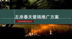 商丘左岸春天營銷推廣案 2010 143頁