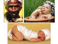 单细胞生物资料合集