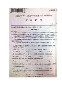 武漢市2014屆高中畢業生四月調研測試數學文及答案