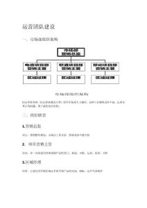 視頻營銷團隊架構及營銷方案