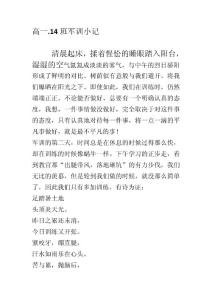 高一军训日记