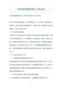 纺织商贸城管委会工作总结