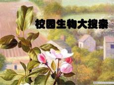 教科版小学科学六年级上册《校园生物大搜索》课件
