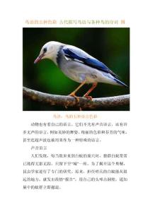 鸟语的五种色彩 古代描写鸟语与各种鸟的诗词 图