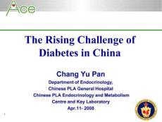 最新中国糖尿病领域新挑战（英文）医学课件&#PDF格式
