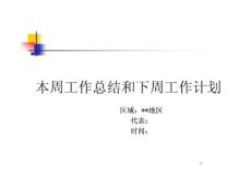 醫藥代表周工作報告和周工作計劃模版