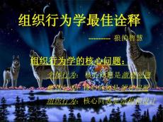 組織行為學（狼的智慧）