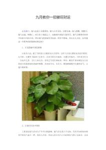 九月教你一招催旺财运