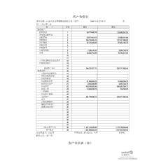ST东热：2010年半年度财务报告