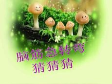 頭腦急轉彎晚會游戲[新版]