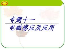 专题十一 电磁感及应用11