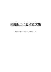 試用期工作總結(jié)范文集