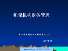 中小企业投资担保股份有限公司2009年担保机构财务管理--笨鸟999