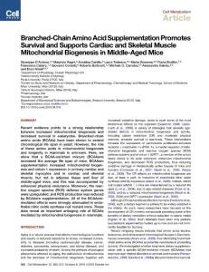 支鏈氨基酸抗衰老
