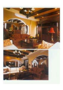 2010樣板房設(shè)計經(jīng)典