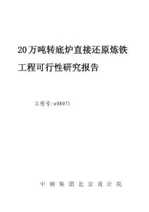 甲級設(shè)計(jì)院-20萬噸轉(zhuǎn)底爐直接還原煉鐵可研報(bào)告