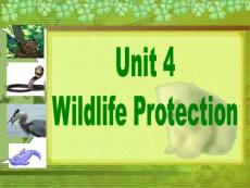 高一英语人教课标必修2 unit4 wildlife protection reading 课件