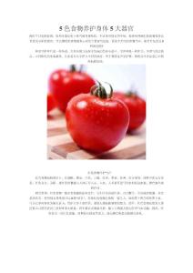 5色食物養護身體5大器官