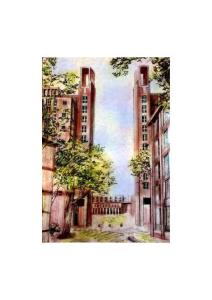 天津科技大学校园风景020