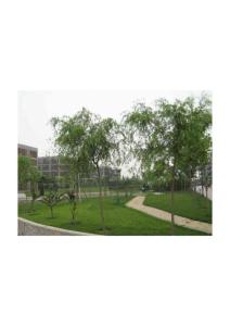 天津科技大学校园风景053