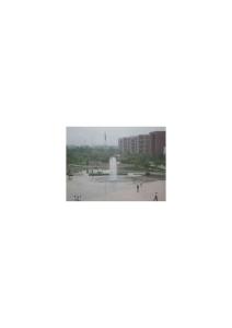 天津科技大学校园风景074