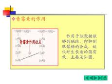 青霉素的作用