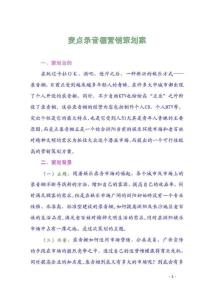 麥點營銷策劃案 1