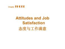 第三章 態(tài)度與工作滿(mǎn)意度