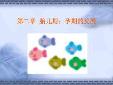 第二章++胎兒期：孕期的發(fā)展