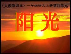 人教一年级语文8阳光课件ppt