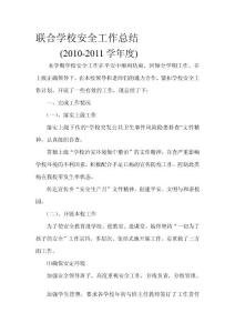 平安任務(wù)總結(jié)08-09[優(yōu)質(zhì)文檔]