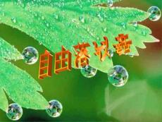 中職物理《自由落體運(yùn)動(dòng)》ppt