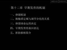 12-早期發育的機制