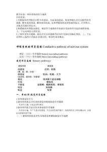 系解筆記(傳導(dǎo)通路)[精華]