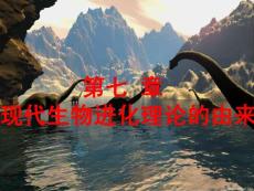 現代生物進化理論的由來223
