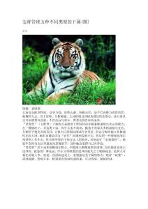 怎樣管理五種不同類型的下屬(組圖）