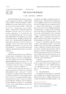线粒体神经胃肠型脑肌病