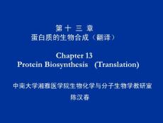 生物化学_第十三章_蛋白质的生物合成