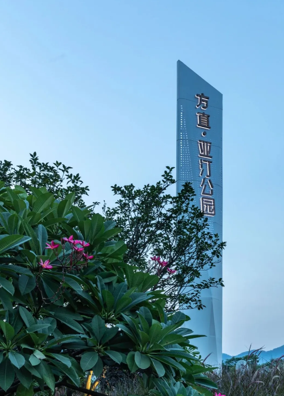 公园里——追光逐梦 | 方直·亚汀公馆