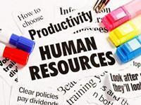 人力资源岗位分析之理论、方法、实操、工具