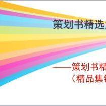 策劃書精選大全